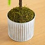 Nearly Natural Artificial Real Touch Norfolk Island Pine in Metal Tin Planter, 3' (T5384)~#|#~8E3753B9-E471-4CC3-A8A1F4A0094A8DBF_sc7