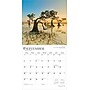 2026 BrownTrout The Majesty of Trees 12" x 12" Monthly Wall Calendar (9798330704491)~#|#~8E43C438-8F93-4F94-842C0D13EB0EEAFA_sc7
