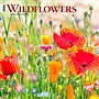 2026 BrownTrout Wildflowers 12" x 12" Monthly Wall Calendar (9798330706365)~#|#~8E761687-B5E5-4A02-BD710EDBB67CB3AE_sc7