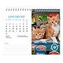 2027 BrownTrout Kittens 7.5" x 6" Monthly Wall Calendar, Assorted Colors (9798330709373)~#|#~8E8582F7-2443-47A8-9ED7D1753B59BC55_sc7