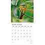 2026 Plato Hummingbirds 12" x 12" Monthly Wall Calendar (9798330706860)~#|#~8E956FB3-9BA1-443A-85FD6808FABDD400_sc7