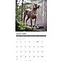 2027 Willow Creek 12" x 12" Monthly Wall Calendar, Assorted Colors (62845)~#|#~8E961341-5C06-401C-BB6DD5B580E1A771_sc7