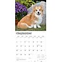2026 BrownTrout Pembroke Welsh Corgis 12" x 12" Monthly Wall Calendar (9798330706242)~#|#~8EA81CDF-FC60-4AF9-8A5833BFEA962750_sc7