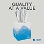 Pacific Blue Select Facial Tissue, 2-ply, 100 Tissues/Box, 36 Boxes/Pack (46200)~#|#~8EA93013-C3A1-4479-BEF6CF5543E67372_sc7