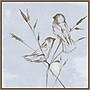 Amanti Art Pastel Birds I by Eli Jones Framed Canvas Wall Art Print, 30"W x 30"H (A42678866344)~#|#~8EC1A616-5C11-417E-A91AE8A8D9321B88_sc7
