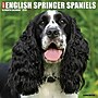 2026 Willow Creek English Springer Spaniels 12" x 12" Monthly Wall Calendar (51047)~#|#~8EC5A824-8F28-4E52-9D3C9E72CDA04F28_sc7