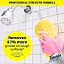 Fabuloso Professional All-Purpose Glass & Surface Cleaner Degreaser Bottle, Lavender Scent, 125 oz. (61051910)~#|#~8EC9D2EB-2289-41AE-8231E1DE28A16351_sc7