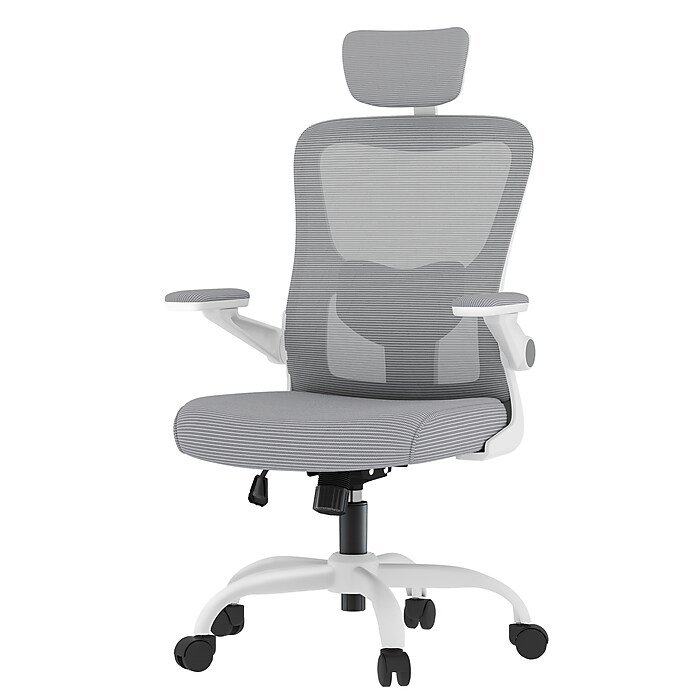 FlexiSpot Pro Comfort Swivel Computer and Desk Chair, Gray (OC1GY