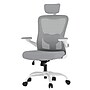 FlexiSpot Pro Comfort Swivel Computer and Desk Chair, Gray (OC1GY-SD-DP)~#|#~8EEAA9CD-8859-486C-B09E33F5DF6D288C_sc7
