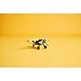LEGO Technic Bush Plane, 333 Pieces (42198)~#|#~8F2239E3-168F-49FB-AC0846F4131E2900_sc7