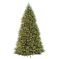 National Tree Company 4' Pre-Lit Dunhill Fir Artificial Christmas
