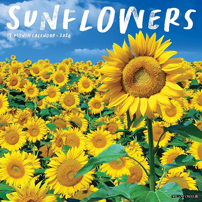 2026 Willow Creek Sunflowers 12" x 12" Monthly Wall Calendar (52907) image 1