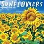 2026 Willow Creek Sunflowers 12" x 12" Monthly Wall Calendar (52907)~#|#~8F2C7FEE-86CD-422E-8C3758461430B39B_sc7