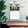 2026 BrownTrout Great Pyrenees 12" x 12" Monthly Wall Calendar (9798330703531)~#|#~8F38FB30-AD52-4C1B-ABED0AB547794C95_sc7