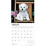 2026 BrownTrout Bichon Frise Puppies 12" x 12" Monthly Wall Calendar (9798330702435)~#|#~8F3D145E-DBE7-4C83-B08CA1B2DB2DAD7C_sc7