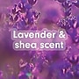 Softsoap Liquid Hand Soap Refill, Lavender & Shea Butter Scent, 50 oz. (61048335)~#|#~8F403517-053B-41A9-880B9F1173EE6C3E_sc7