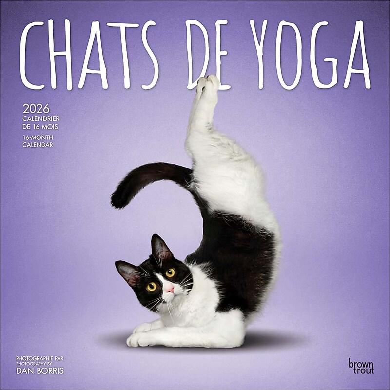 2026 BrownTrout Chats de Yoga OFFICIEL 12" x 12" Monthly Wall Calendar (9798330707348) image 1