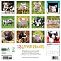 2026 Willow Creek 12 Little Piggies 12" x 12" Monthly Wall Calendar (55298)~#|#~8F6DE0F3-F8E6-4272-B981DB425BD8BE4E_sc7