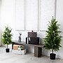 Nearly Natural Artificial Norfolk Pine Tree, 4' (T4708)~#|#~8F90B9F4-25A2-4E3B-AAA23DF7481DE068_sc7