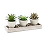 Monarch Specialties Inc. 6" Artificial Succulent Plants, 3/Set (I 9373)~#|#~8F93AAB4-3326-4E41-8A76F7386F2DEE61_sc7