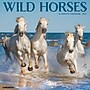 2027 Willow Creek Wild Horses 12" x 12" Monthly Wall Calendar, Assorted Colors (63019)~#|#~8F969234-6B03-4BE7-A638957815368310_sc7