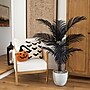 Nearly Natural Artificial Halloween Black Paradise Palm Tree, 4' (T5142)~#|#~8FCEEC54-0C3A-4842-B0F71D8B80E830F8_sc7