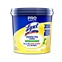 Lysol Pro Disinfecting Wipes, Lemon & Lime Blossom Scent, 800 Wipes/Canister, 2 Canisters/Carton (19200-99856CT)~#|#~8FD89149-3617-463B-8A667EF20859B054_sc7