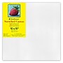 Strathmore 300 Series Primed White Stretched Canvas, 10" x 10", 3/Pack (STT31310-3)~#|#~8FE282C8-040F-4B62-AC97D50451C4E49E_sc7