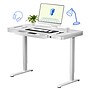 FlexiSpot EW2 48"W Electric Adjustable Standing Desk, White (EW2W-E)~#|#~8FE5C9DB-D27E-49B3-B338C2FF2AF0324E_sc7