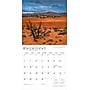 2026 BrownTrout Utah National Parks & Monuments 12" x 12" Monthly Wall Calendar (9798330706075)~#|#~8FED547C-A3C6-4A3F-98B07CAD40BCF045_sc7