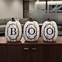 National Tree Company 13" BOO Pumpkin Assortment (RAH-ZHS10294A)~#|#~8FEEE99F-B7DB-4523-9C4CEEC92F3A9A54_sc7