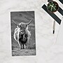 2026-2028 Willow Creek Highland Cows 3.5" x 6.5" Monthly Pocket/Wallet Calendar, Assorted Colors (66744)~#|#~90133154-1AF4-4821-9857D075548771A8_sc7