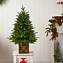 Nearly Natural 3-ft. Finland Fir Pre-Lit Artificial Christmas Tree, 50 Lights (T3266)~#|#~90143DE9-57C6-440C-9F64BB4E385C6413_sc7