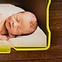 Iris Hinged Closure Plastic Storage Bin with 12 Multi-colored Photo Cases, 2/Pack (500055)~#|#~9020C149-6223-487A-8EDE64DBFA732331_sc7