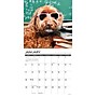 2026 Willow Creek What Dogs Teach Us 12" x 12" Monthly Wall Calendar (53164)~#|#~902F865B-6D71-46CD-99BB2EC87DE1C0FD_sc7