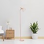 Simple Designs Farmhouse Fusion 55.91" Iron Floor Lamp with Round Shade, Light Pink (LF2019-LPK)~#|#~90316A43-4FD0-4813-AE2A24D3DD32A114_sc7