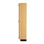 Diversified Woodcrafts Microscope Epoxy, Oak Wood Storage Case (372-4816K)~#|#~90379E11-505C-4D76-A163A8B99010471B_sc7