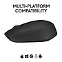 Logitech M170 Wireless Ambidextrous Optical Mouse, Black (910-004940)~#|#~904A9054-F4D3-407B-84DE4A06F5B09E2C_sc7