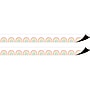 Teacher Created Resources Pastel Pop Rainbows Magnetic Border, 1.5" x 2', 12/Pack, 2/Bundle (TCR77574-2)~#|#~904F1686-BF43-408F-99E42603F916FFE7_sc7