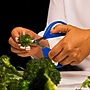 Joyce Chen Original Unlimited Stainless Steel Kitchen Scissor, Blue, 2/Pack (KCHZ09008)~#|#~9053886E-F1FA-439E-9D868E1E6121E3B5_sc7