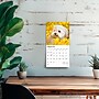 2026 BrownTrout Maltese 7" x 7" Monthly Wall Calendar (9798330704507)~#|#~9064BFF3-FF01-495D-8D6AA4E51553A0AF_sc7