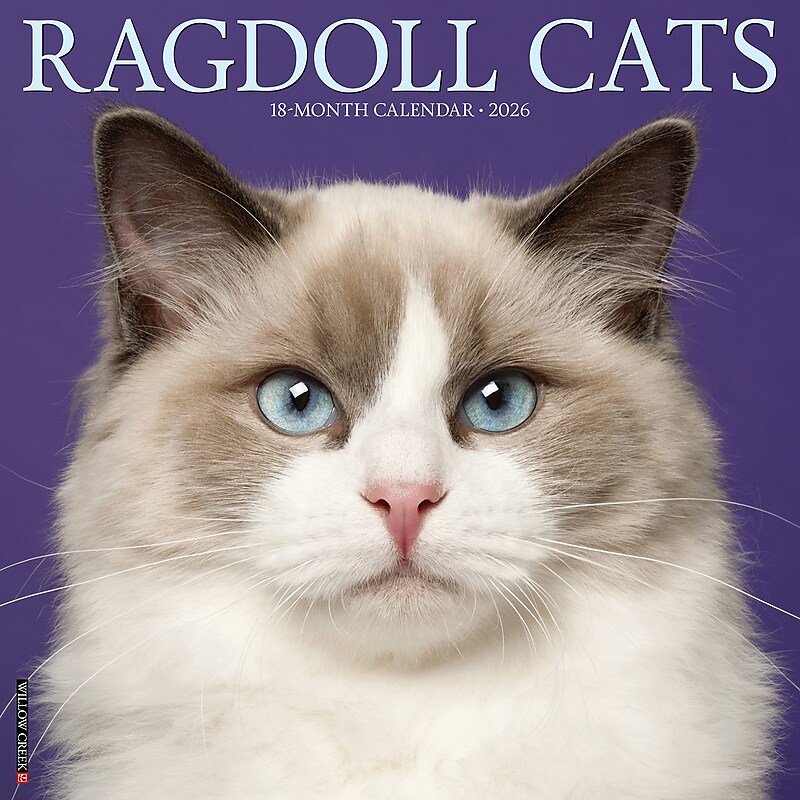 2026 Willow Creek Ragdoll Cats 12" x 12" Monthly Wall Calendar (52549) image 1