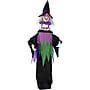 Haunted Hill Farm Lifesize Animatronic Witch (HHWITCH-51FLSA)~#|#~908A3037-9763-4B10-B949483FE2F9A6D0_sc7