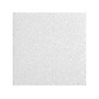 Armstrong OPTIMA Health Zone Lay-In Square Edge Ceiling Tile, 24" x 48", White, Dozen (BP3115CPB)~#|#~909BD004-265E-4140-8227DCB3FDC6C4B8_sc7