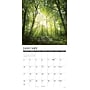 2027 Willow Creek God's Palette 12" x 12" Monthly Wall Calendar, Assorted Colors (60438)~#|#~90A7894B-6E15-45EA-AFE4B3E08361F73A_sc7