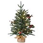National Tree Company 2 ' Happy Hill Pine Tree with LED Lights (PEHP64-306L-20)~#|#~90C72D4E-B730-4B36-82A479D13EEE0D7F_sc7