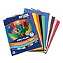 Tru-Ray 9" x 12" Construction Paper, Assorted, 50 Sheets/Pack, 5 Packs/Bundle (PAC103031-5)~#|#~90DC4513-E58C-4FD6-919AEE53C0BB3D04_sc7