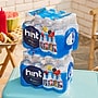 Hint Starter Pack Flavored Water, 16 oz., 12 Bottles/Carton (00149)~#|#~90E55386-F45E-45D6-BF3198578E8C0BE6_sc7