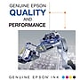 Epson T702 Black/Cyan/Magenta/Yellow Standard Yield Ink Cartridge, 4/Pack (T702120-BCS)~#|#~90F11F45-9057-40F2-AAF4E598C173A1EA_sc7