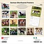 2026 BrownTrout German Shorthaired Pointers 12" x 12" Monthly Wall Calendar (9798330703401)~#|#~90FD05D6-84EF-40FA-A9FB2FB224BC4073_sc7